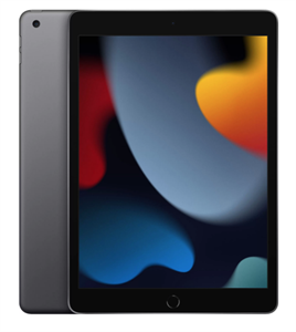 Планшет iPad 10,2" (2021) Wi-Fi 256GB, Space Gray, серый космос (MK2N3)
