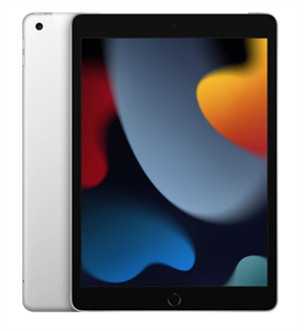 Планшет iPad 10,2" (2021) Wi-Fi + Cellular 256GB, Silver, серебристый (MK4H3)