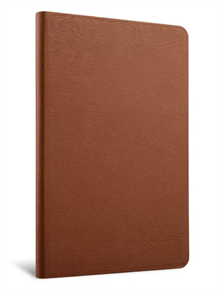 Чехол для iPad (модель 9.7-дюймов 2017/2018 года) / iPad Air 2, Jison Case c кармашком для Pencil, коричневый 4665299801645